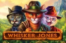 Whisker Jones by 1x2Gaming game artwork