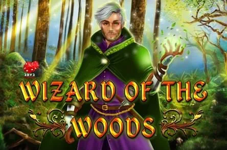 Wizard of the Woods