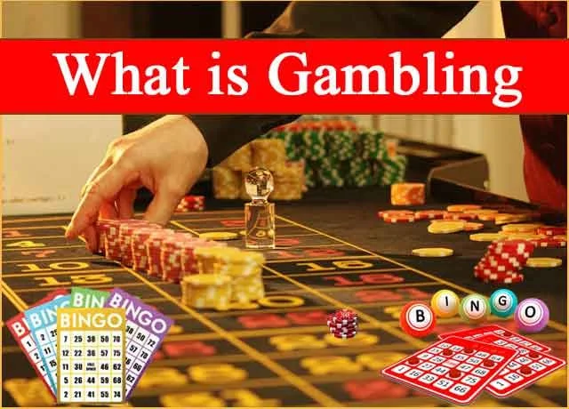 Bolly Game Official News – Nov 30, 2023 – Update 134 – Bolly Game news image 1