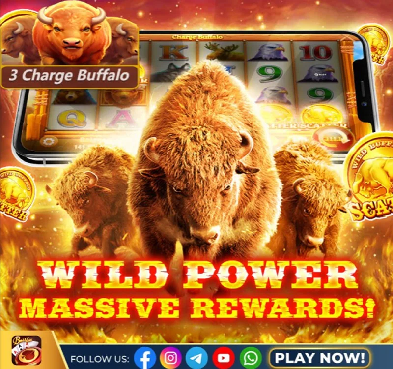 Bolly Game App Update – May 7, 2026 – Update 2319 – Bolly Game news image 1