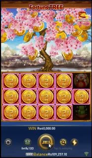 Bolly Game Official News – May 23, 2024 – Update 294 – Bolly Game news image 1