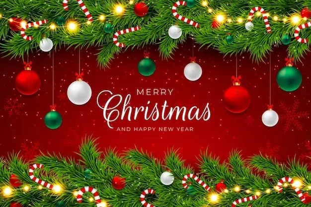Bolly Game App Update – Dec 25, 2023 – Update 169